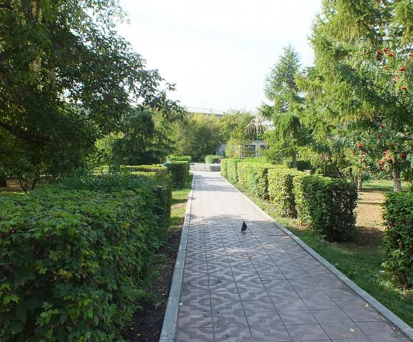 dscf1243