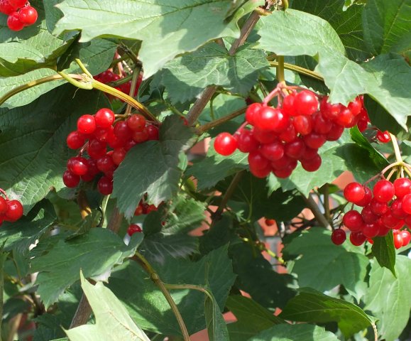 dscf1428