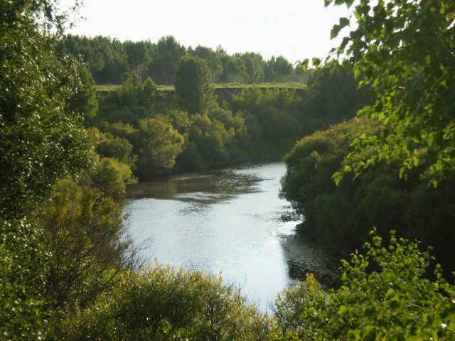 Река Омь у села Киселево